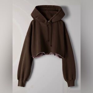Aritzia chocolate brown Tna Cozy Fleece Boyfriend Cropped Hoodie